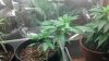 2012-05-06_14-01-50_906.jpg