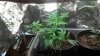 2012-05-06_14-01-59_233.jpg 2012-05-06_14-01-59_233.jpg
