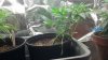 2012-05-06_14-02-06_939.jpg 2012-05-06_14-02-06_939.jpg