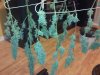 IMG20120506_065.jpg IMG20120506_065.jpg