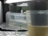 100_0627.jpg