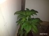 babies 024.JPG