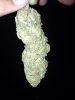 IMG_0407_095.jpg