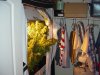 DSC02244.jpg