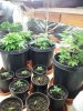 20120429_121433.jpg 20120429_121433.jpg