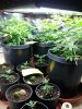 20120505_111227.jpg 20120505_111227.jpg