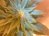 IMG_20120509_224933.jpg
