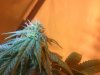 IMG_20120509_224619.jpg