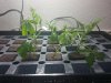 IMG_20120510_213123.jpg