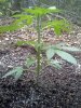 20120511172419.jpg 20120511172419.jpg