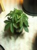IMG_0639.jpg IMG_0639.jpg