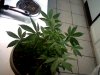 2012_05_11_22_32_54_572.jpg 2012_05_11_22_32_54_572.jpg
