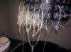 IMG_20120512_142540.jpg