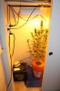 IMG_0304.jpg IMG_0304.jpg