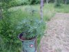 DSCN4330.jpg DSCN4330.jpg