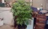 2012-05-12_20.25.43.jpg