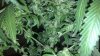 2012-05-12_22-29-10_105.jpg