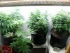 pt13-fm-09-seed-group.jpg