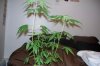 100_2734.jpg