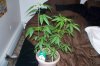 100_2728.jpg
