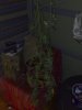 25082008864.jpg