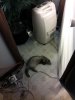 IMG_20120503_132057.jpg