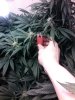 IMG_20120505_103843.jpg