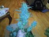 IMG_20120513_225108.jpg