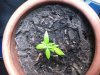 120513_003.jpg