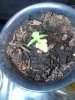 120513_006.jpg