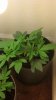 2012-04-11_18-13-47_155.jpg