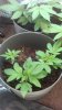 2012-04-11_18-13-52_388.jpg