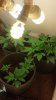 2012-04-11_18-14-09_592.jpg