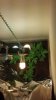 2012-04-11_18-14-27_6.jpg