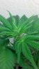 2012-04-25_17-27-38_798.jpg 2012-04-25_17-27-38_798.jpg