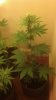 2012-05-14_08-36-47_941.jpg