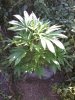 IMG_20120512_163148.jpg
