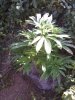IMG_20120512_163153.jpg
