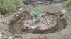 2012-05-03_15-36-34_471.jpg