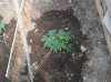 100_0230.jpg