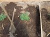 100_0234.jpg