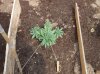 100_0236.jpg