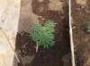 100_0238.jpg