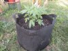 DSCN3429.jpg