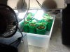 2012-05-17 11.34.52.jpg
