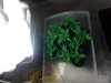 2012-05-17 11.35.39.jpg