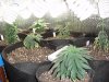 DSC01270.jpg