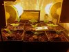2012-05-18 19.51.21.jpg