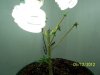 may 12 2012 005.jpg