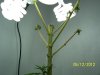 may 12 2012 006.jpg